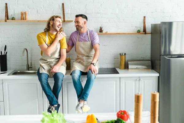 Foco Seletivo Homens Homossexuais Felizes Sorrindo Cozinha — Fotografia de Stock