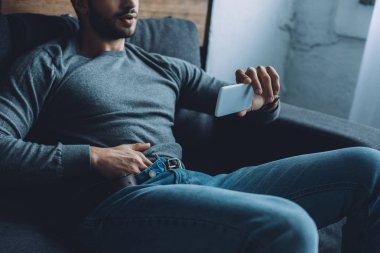 Kanepede akıllı telefondan porno izlerken mastürbasyon yapan bir adamın görüntüsü. 