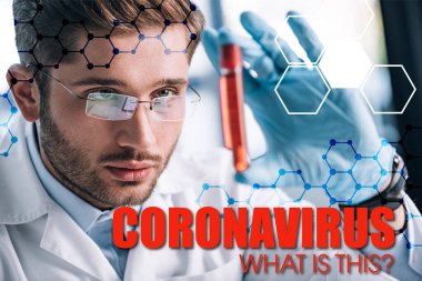 Gözlüklü sakallı immünolojistin seçici odak noktası kırmızı sıvı ve koronavirüs resimli test tüpü tutması.
