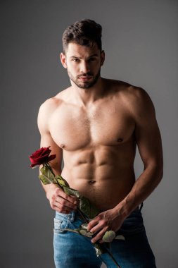 Gri üzerinde gül çiçeği tutan kot pantolonlu seksi üstsüz adam.