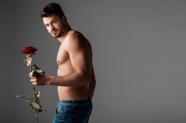 Gri üzerinde gül çiçeği tutan kot pantolonlu seksi üstsüz adam.