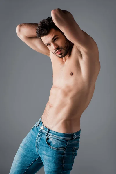 Bonito Sexy Sem Camisa Macho Jeans Isolado Cinza — Fotografia de Stock