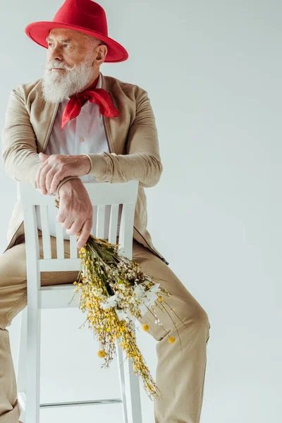 Elegant senior man in red hat holding bouquet of wildflowers while sitting on chair isolated on grey