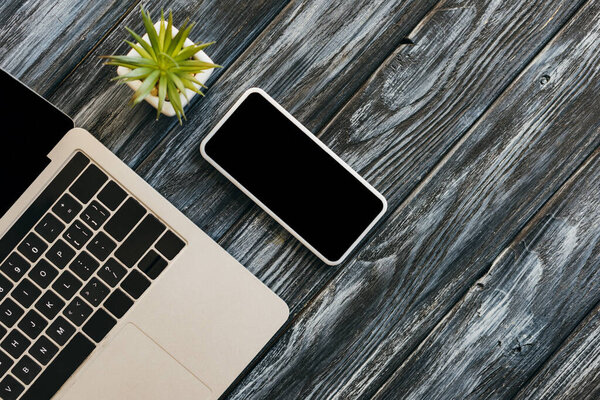 top view of laptop, smartphone with blank screen and house plant on dark wooden surface