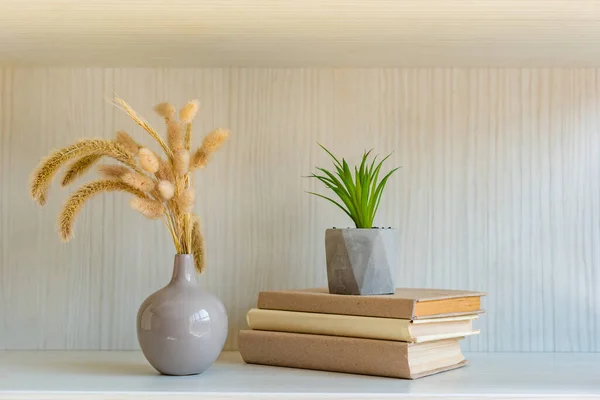 Books House Plant Spikelets Vase Shelves — Stock Photo, Image