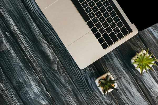 Top View Laptop House Plants Dark Wooden Surface — Stock Photo, Image