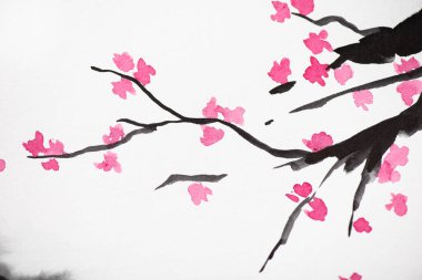 Sakura dalları ve beyaz çiçekli Japon resimleri.
