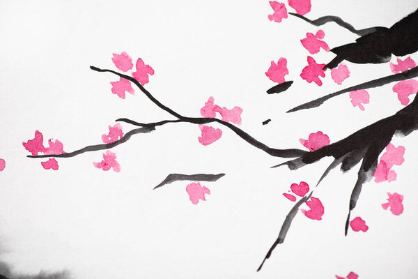 Japanese painting with Sakura branches with flowers on white