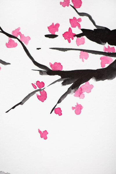 Japanese painting with Sakura branches with flowers on white background