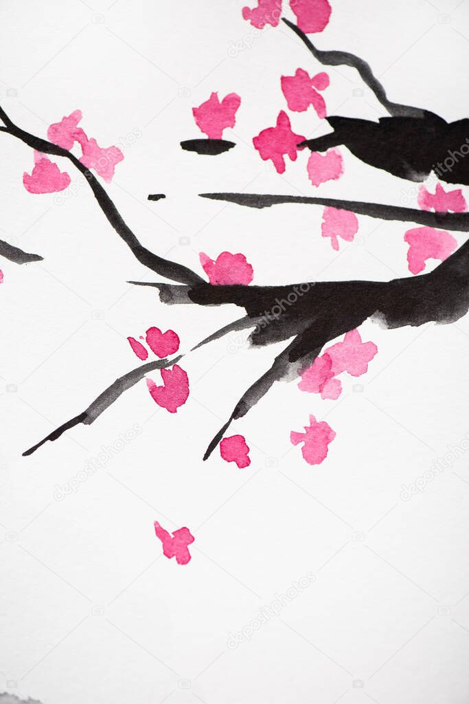 Japanese painting with Sakura branches with flowers on white background