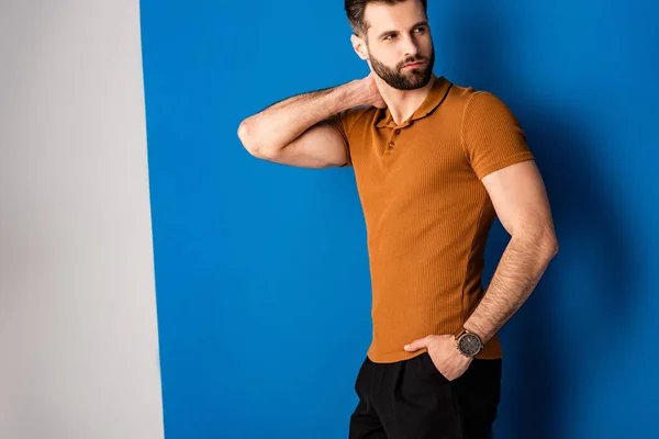 Handsome Stylish Man Posing Shorts Brown Polo Grey Blue — Stock Photo, Image