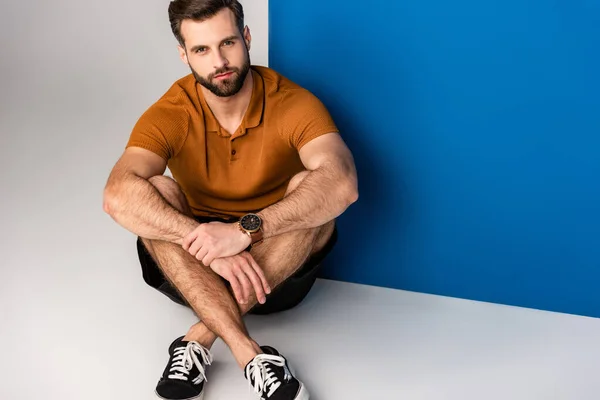 Fashionable Bearded Man Sitting Shorts Brown Polo Grey Blue — Stock Photo, Image