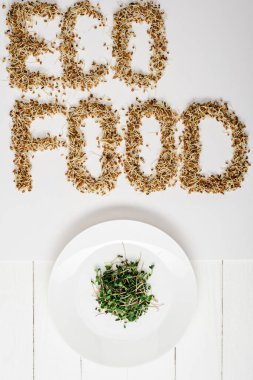 top view of fresh microgreen on plate near eco food lettering made of sprouts on white wooden surface clipart