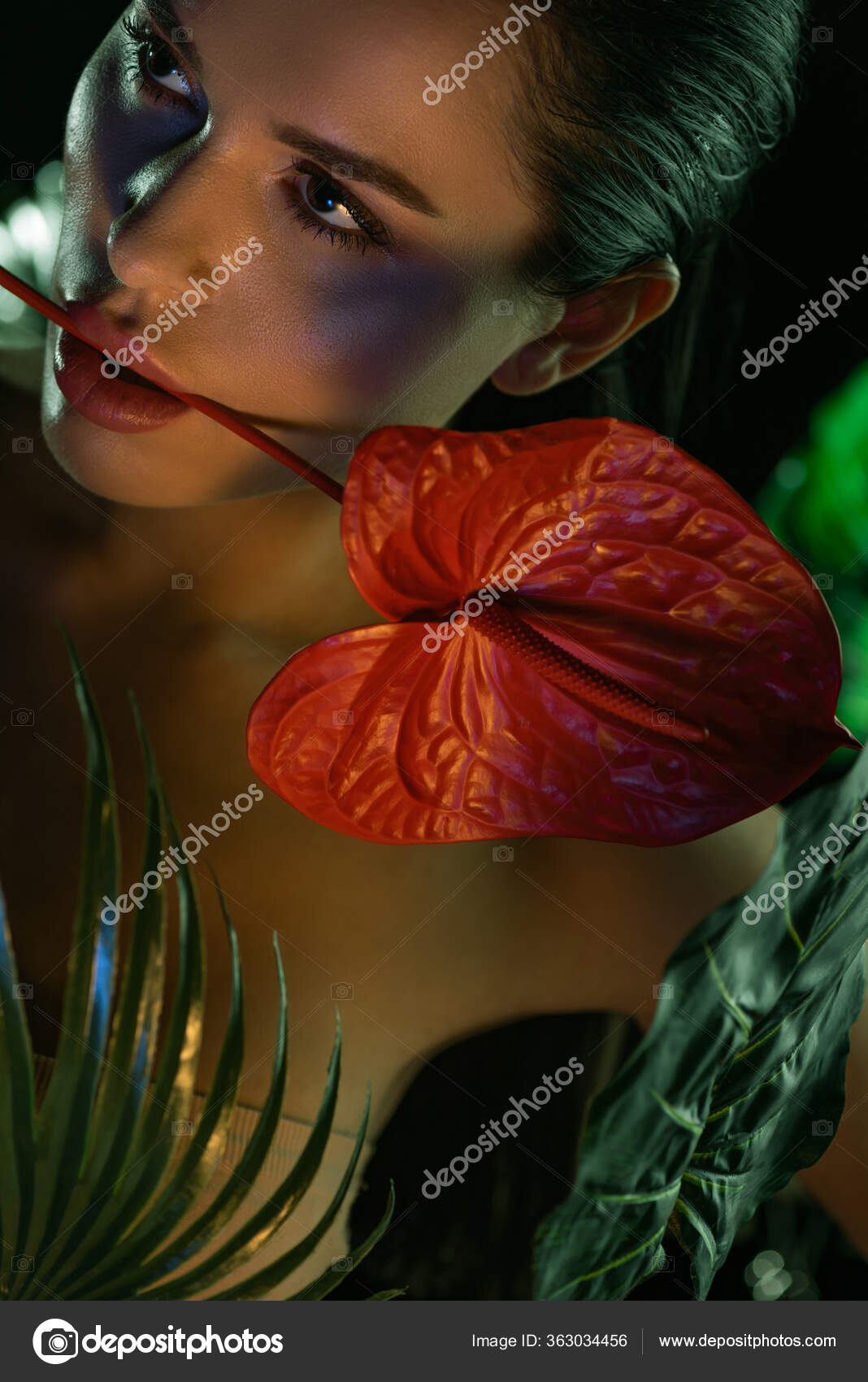 1 337 Fotografias E Imagens De Anturio Getty Images