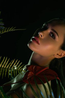 Kırmızı çiçekli ve yeşil yapraklı seksi kız siyah kameraya bakıyor.