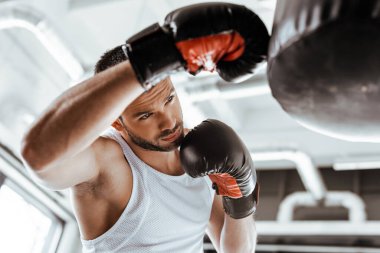 Boks eldivenli yakışıklı sporcunun kum torbasıyla antrenman yaptığı seçici odak noktası.  