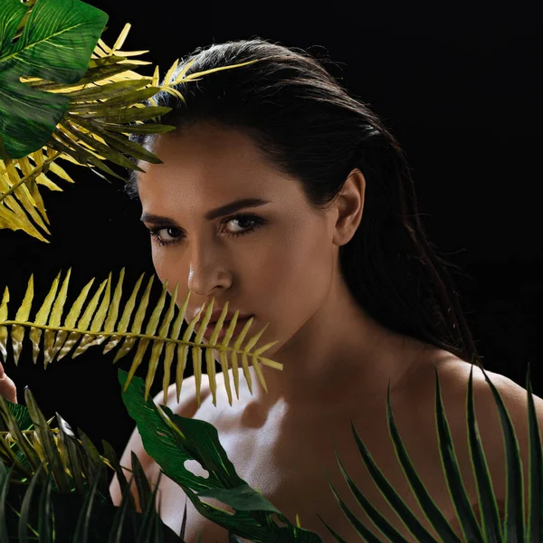 Brunette Femme Regardant Caméra Avec Des Feuilles Isolées Sur Noir — Photo