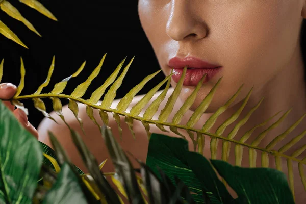 Vista Cortada Mulher Com Folhas Isoladas Preto — Fotografia de Stock