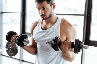 Spor salonunda dambıllarla egzersiz yapan sakallı sporcu. 