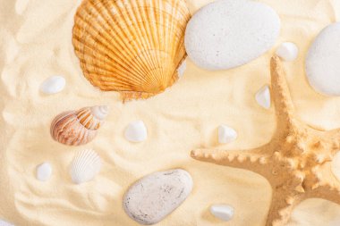 Top view of starfish, pebbles and seashells on sand  clipart