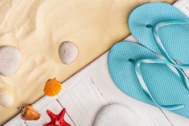 Top view of seashells near starfish and blue flip flops on white wooden planks and sand clipart