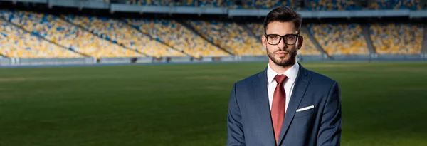 Takım Elbiseli Genç Işadamı Stadyumda Gözlüklü Panoramik Çekim — Stok fotoğraf