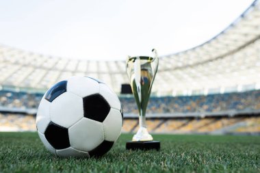 Futbol topu ve kupası stadyumdaki çimenli futbol sahasında.