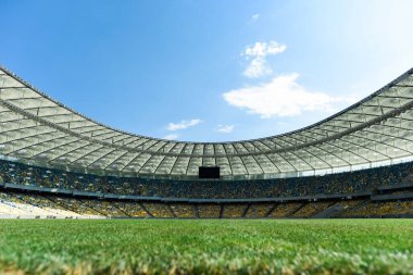 Güneşli bir günde stadyumda mavi gökyüzüyle çimenli futbol sahası