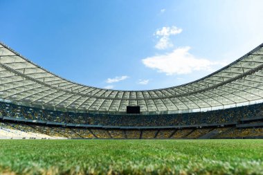 Güneşli bir günde stadyumda mavi gökyüzüyle çimenli futbol sahası