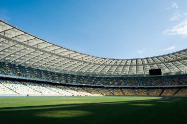 Güneşli bir günde stadyumda mavi gökyüzüyle çimenli futbol sahası