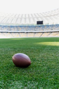rugby ball on green grass at stadium with copy space clipart