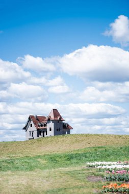 house on hill near colorful tulips field and blue sky with clouds clipart