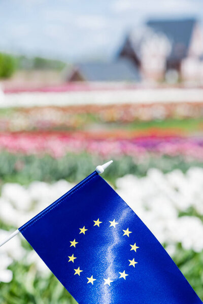 selective focus of flag of Europe near colorful tulips field