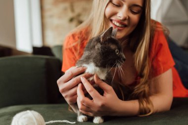 Mutlu bir kızın kanepedeki yumak yumağının yanındaki sevimli kediye dokunmasının seçici odağı.