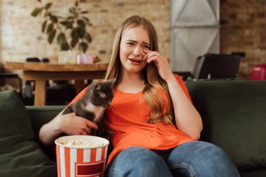 upset woman crying near cat and popcorn bucket while watching movie  clipart