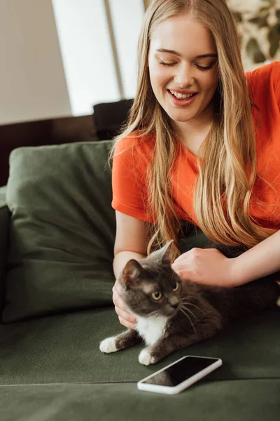 Kanepede Boş Ekranlı Akıllı Telefonun Yanındaki Sevimli Kediye Dokunan Neşeli — Stok fotoğraf