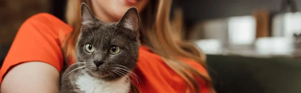 Horizontal Crop Woman Cute Fluffy Cat — Stock Photo, Image