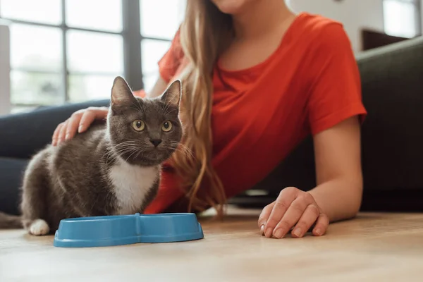 Cropped View Girl Touching Cat Bowl Floor — Stock Photo, Image
