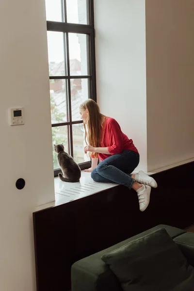 窓辺に座って可愛い猫のそばの窓を見ている若い女性 — ストック写真