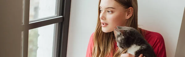 Orientación Panorámica Chica Mirando Ventana Cerca Lindo Gato — Foto de Stock