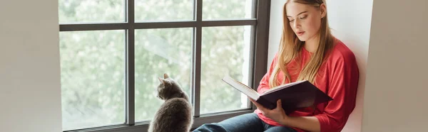 漂亮女孩在可爱的猫和窗户附近看书的水平图像 — 图库照片