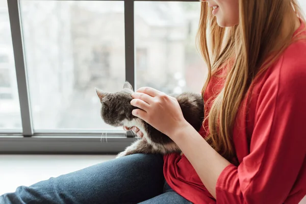 Cropped View Woman Touching Cute Fluffy Cat Window — Stock Photo, Image