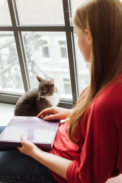 Foco Seletivo Gato Bonito Perto Janela Mulher Jovem Com Livro Fotografias De Stock Royalty-Free