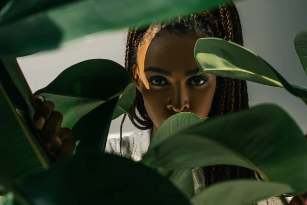 Chica afroamericana con hojas verdes - foto de stock