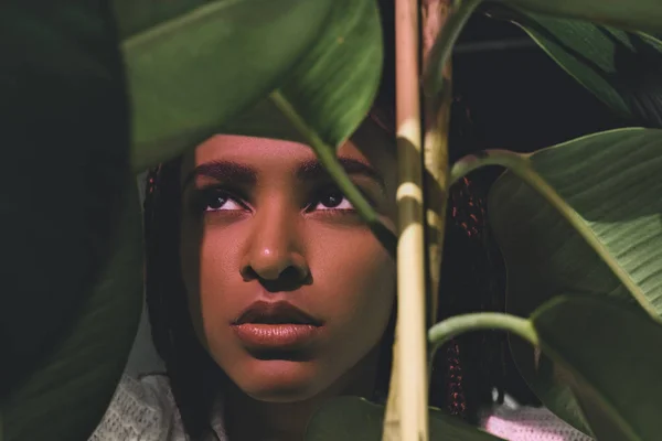 Chica afroamericana con hojas verdes - foto de stock