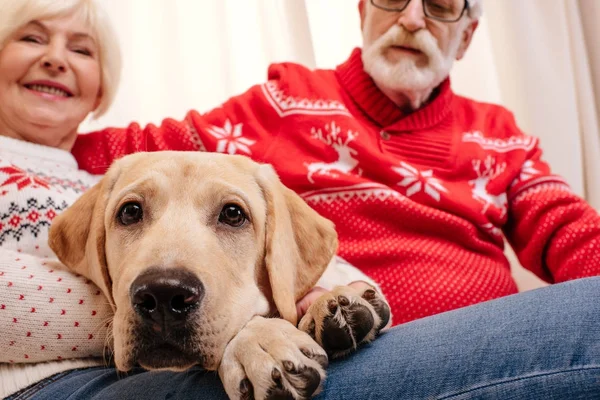 Senior couple with labrador — Stock Photo