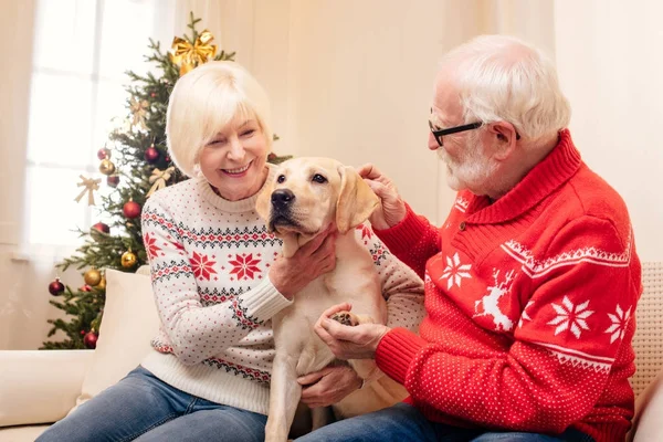 Пожилая пара с собакой на Рождество — стоковое фото
