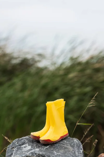 Botas de chuva — Fotografia de Stock