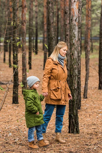 Madre caminando por el bosque con su hijo - foto de stock