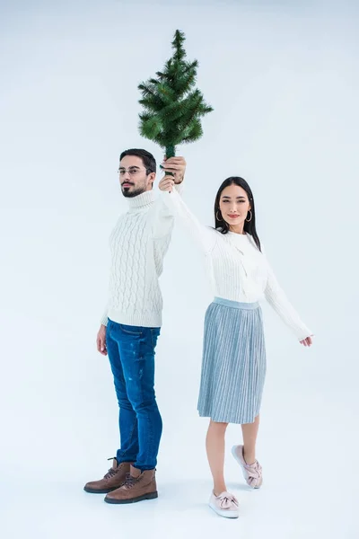 Paar hält Weihnachtsbaum — Stockfoto